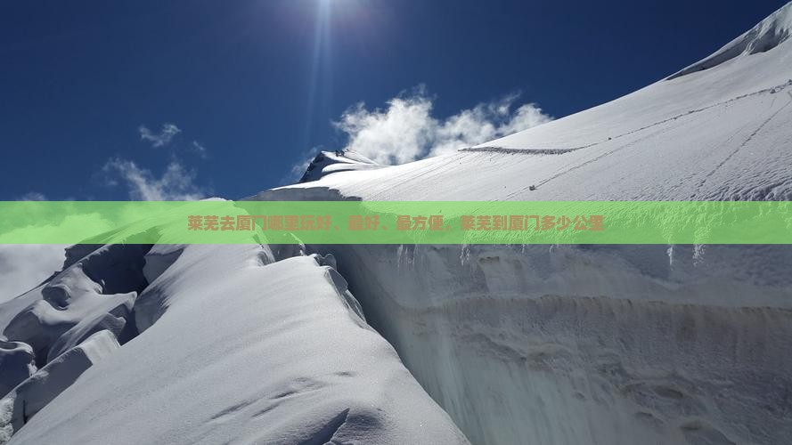莱芜去厦门哪里玩