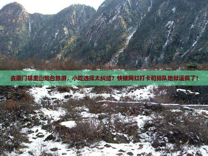 海南去厦门胡里山炮台旅游小吃