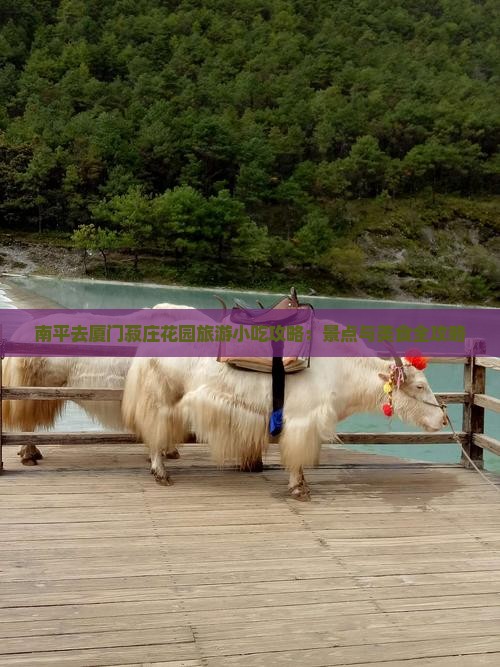 南平去厦门菽庄花园旅游小吃