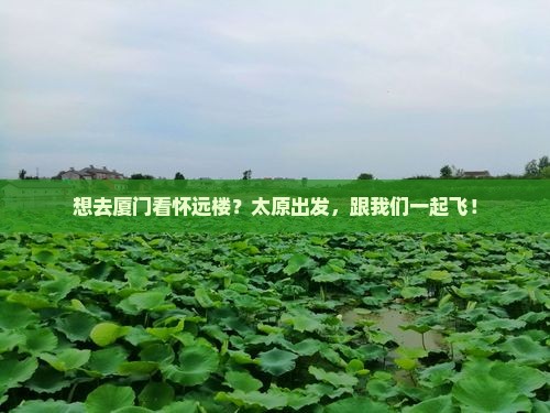 太原去厦门怀远楼旅行社