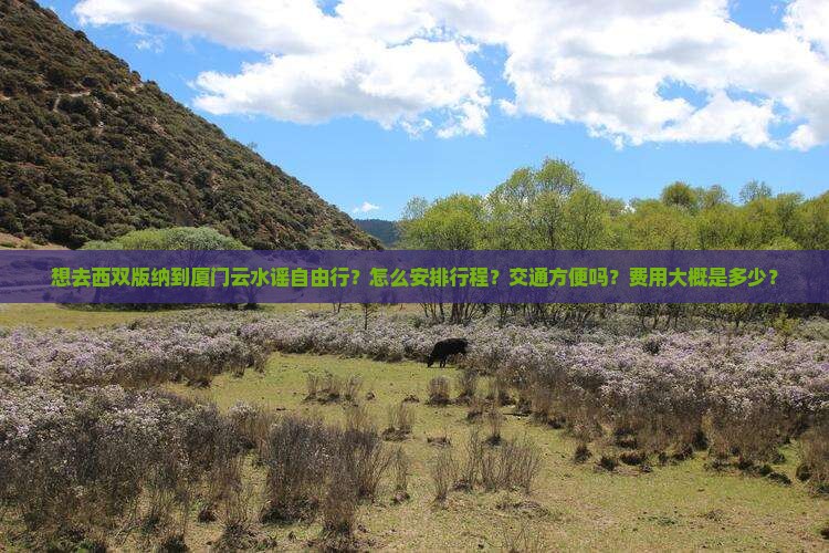 西双版纳去厦门云水谣自由团 西双版纳去厦门云水谣自由团
