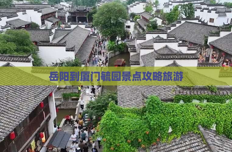 岳阳到厦门毓园哪里玩