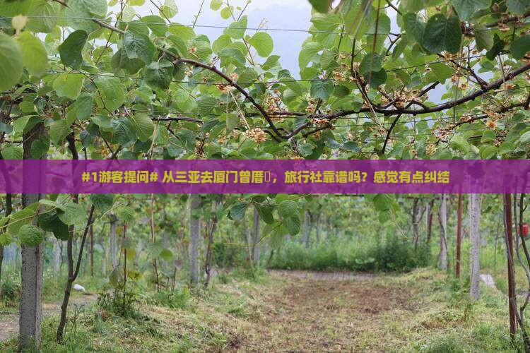 三亚到厦门曾厝埯旅行社
