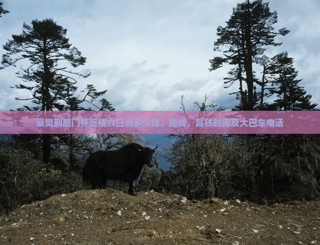 襄樊到厦门怀远楼六日游