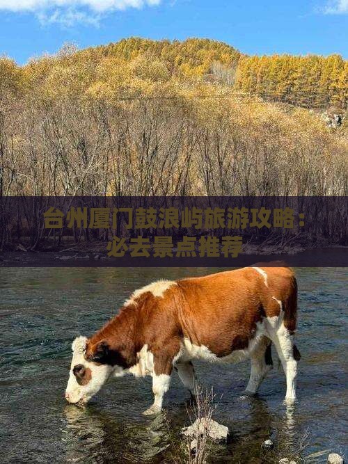 台州去厦门鼓浪屿必去地