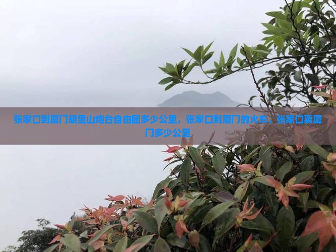 张家口到厦门胡里山炮台自由团