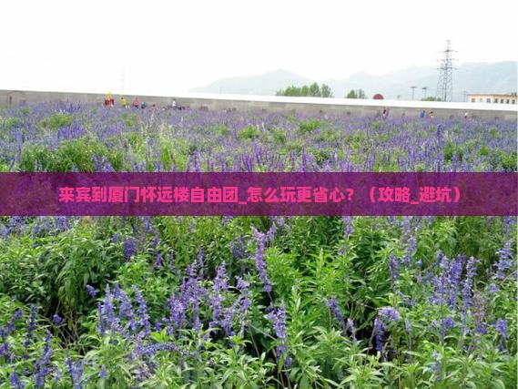 来宾到厦门怀远楼自由团