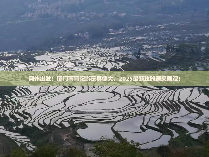 荆州到厦门南普陀哪里玩