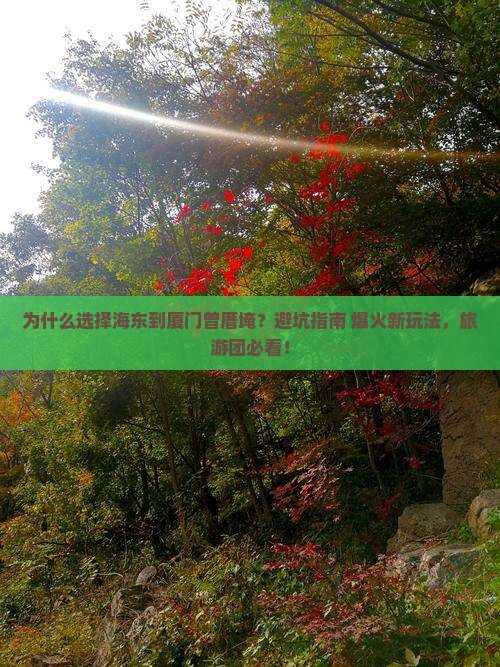海东到厦门曾厝埯大型旅游团