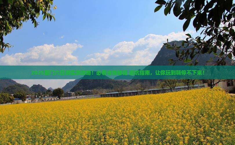 一月到厦门六日游