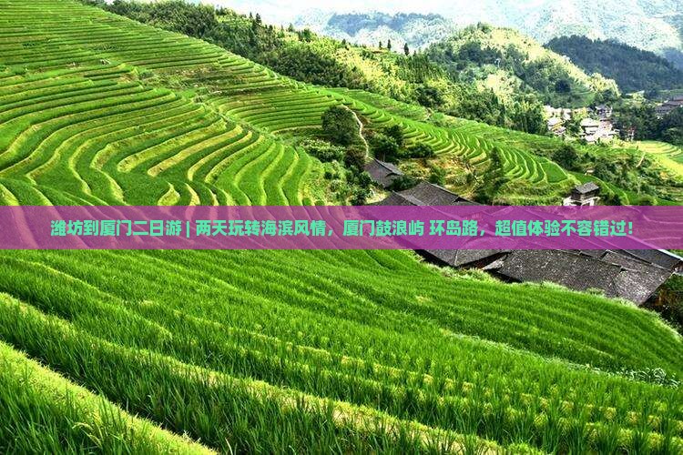 潍坊到厦门二日游
