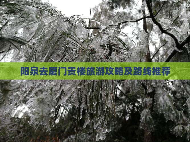 阳泉去厦门和贵楼旅游