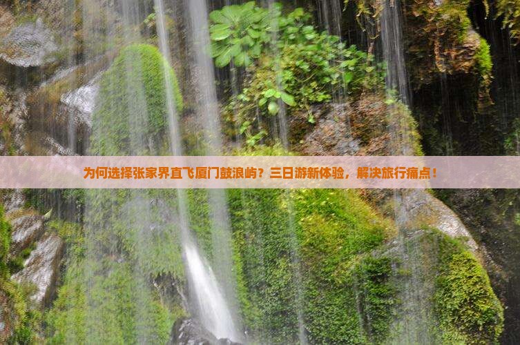 为何选择张家界直飞厦门鼓浪屿？三日游新体验，解决旅行痛点！