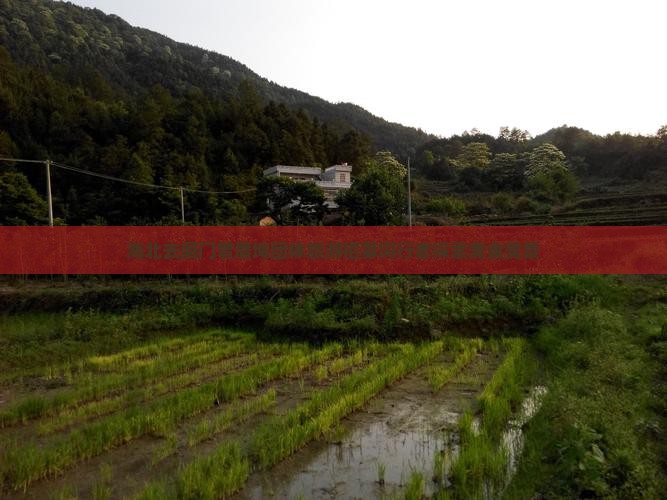 海北去厦门曾厝埯团体旅游招募同行者探索美食美景