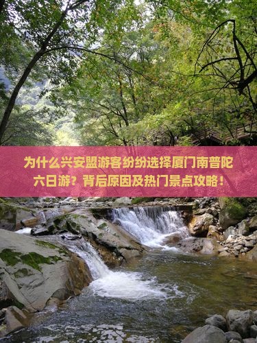 为什么兴安盟游客纷纷选择厦门南普陀六日游？背后原因及热门景点攻略！