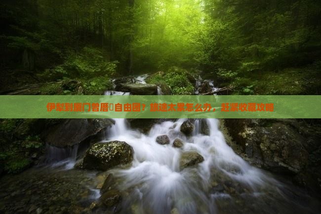 伊犁到厦门曾厝垵自由团？旅途太累怎么办，赶紧收藏攻略