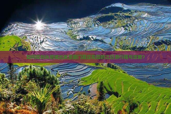 如何规划从塔城出发至厦门菽庄花园的三日游行程与攻略？
