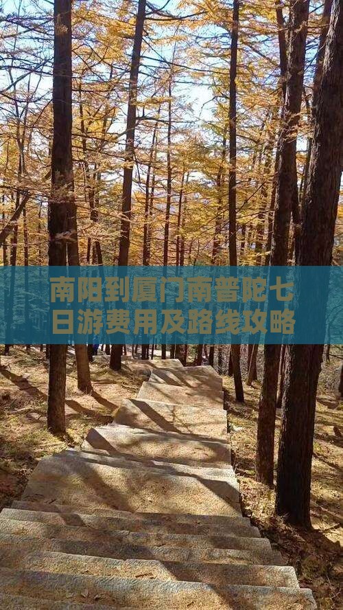 南阳到厦门南普陀七日游费用及路线攻略
