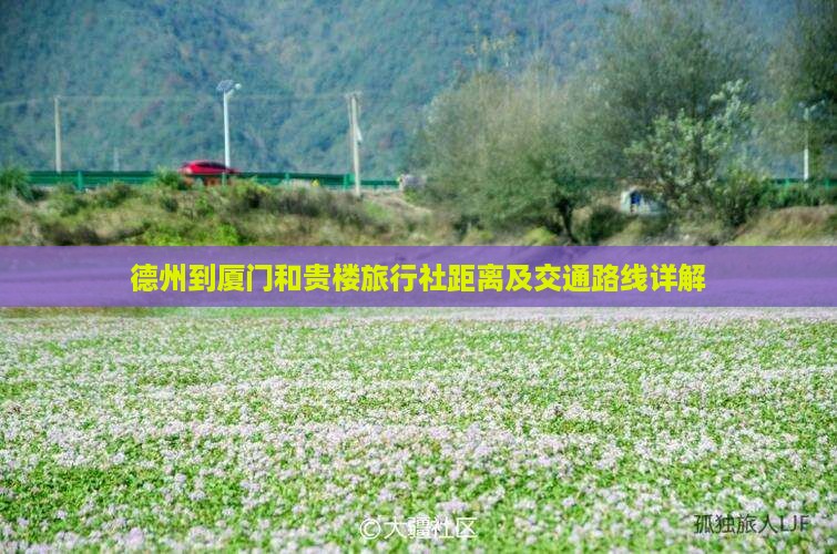 德州到厦门和贵楼旅行社距离及交通路线详解