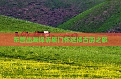 东营出发探访厦门怀远楼古韵之旅 东营出发探访厦门怀远楼古韵之旅