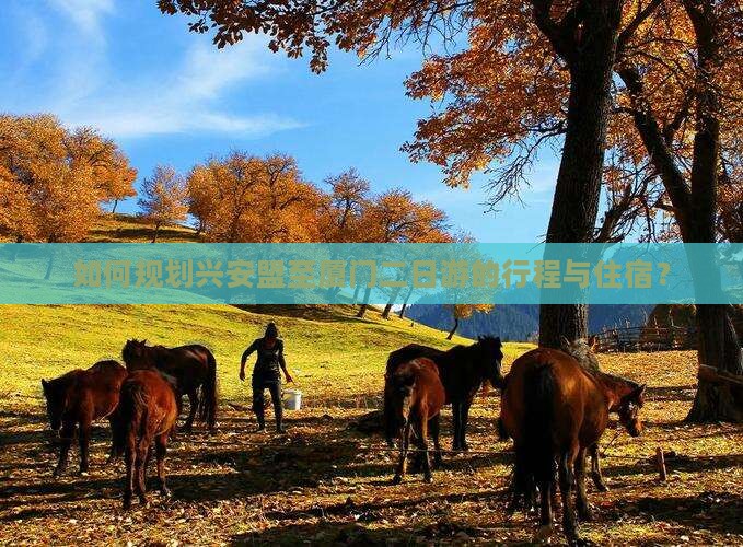 如何规划兴安盟至厦门二日游的行程与住宿？