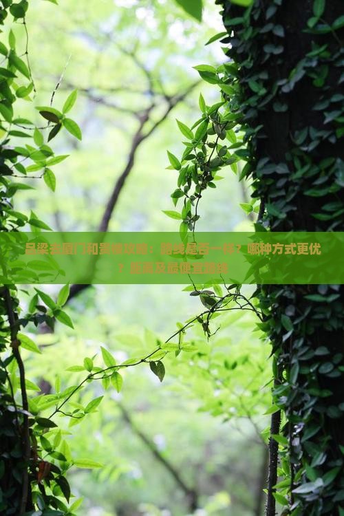 吕梁去厦门和贵楼攻略：路线是否一样？哪种方式更优？距离及最便宜路线