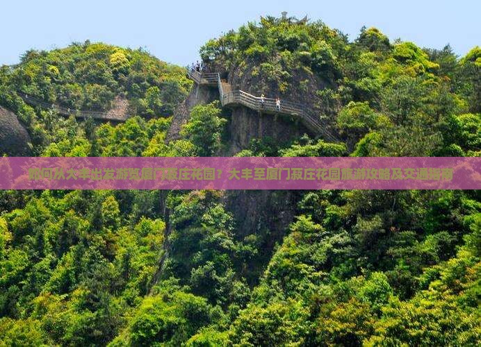 如何从大丰出发游览厦门菽庄花园？大丰至厦门菽庄花园旅游攻略及交通指南