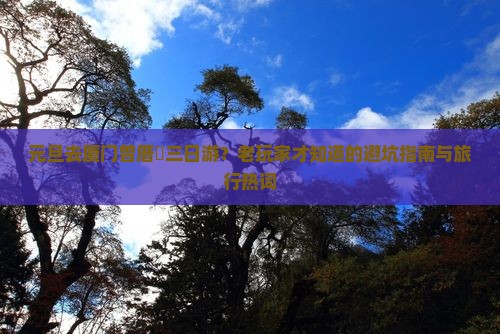 元旦去厦门曾厝垵三日游？老玩家才知道的避坑指南与旅行热词