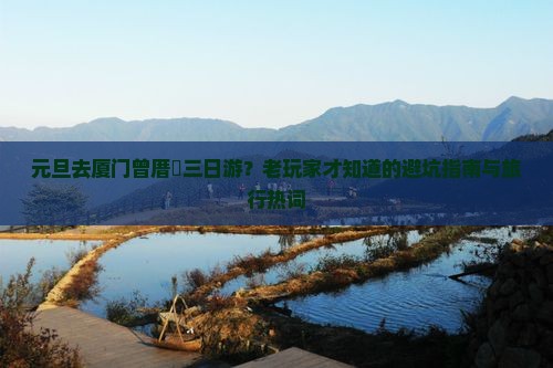 元旦去厦门曾厝垵三日游？老玩家才知道的避坑指南与旅行热词