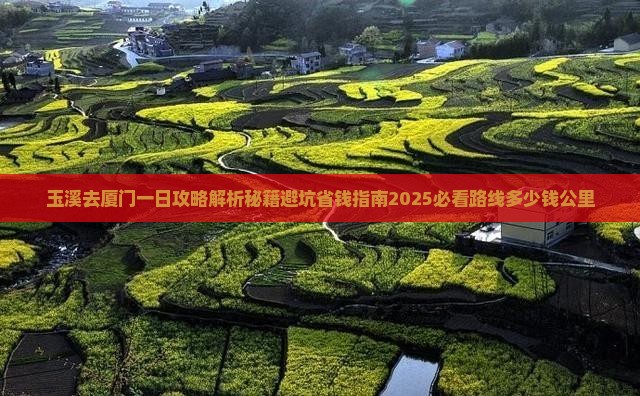 玉溪去厦门一日