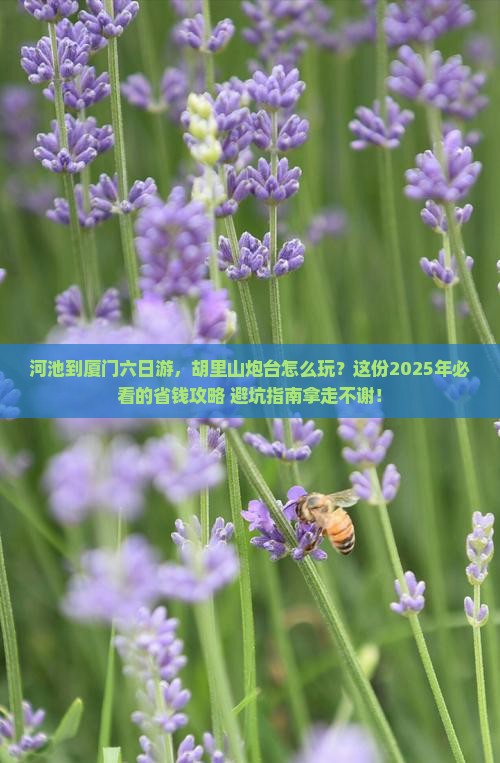 河池到厦门胡里山炮台六日游