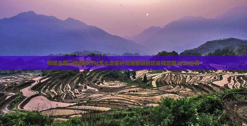 桐城去厦门毓园旅行社