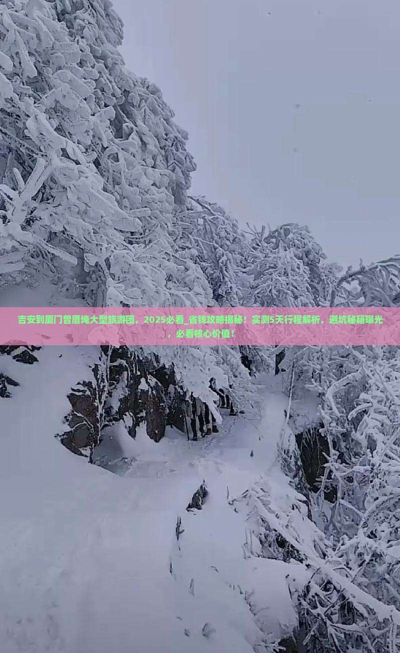 吉安到厦门曾厝埯大型旅游团