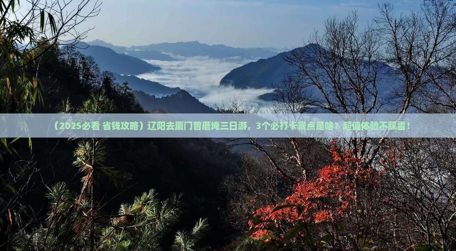 辽阳去厦门曾厝埯三日游