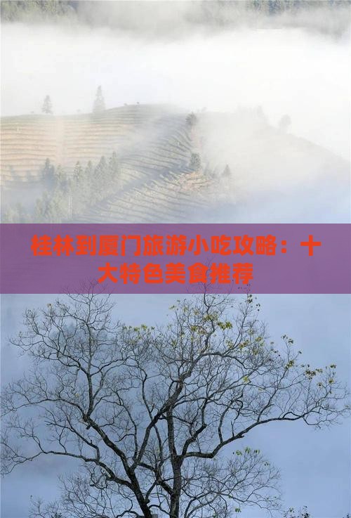 桂林到厦门和贵楼旅游小吃