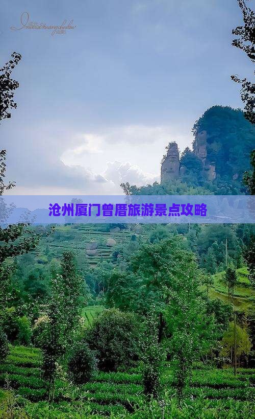 沧州去厦门曾厝埯团体旅游