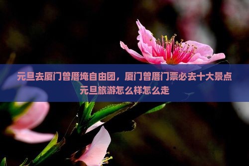 元旦去厦门曾厝埯自由团