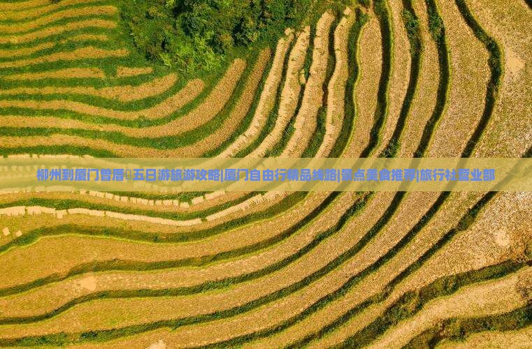 柳州到厦门曾厝垵五日游旅游攻略|厦门自由行精品线路|景点美食推荐|旅行社营业部