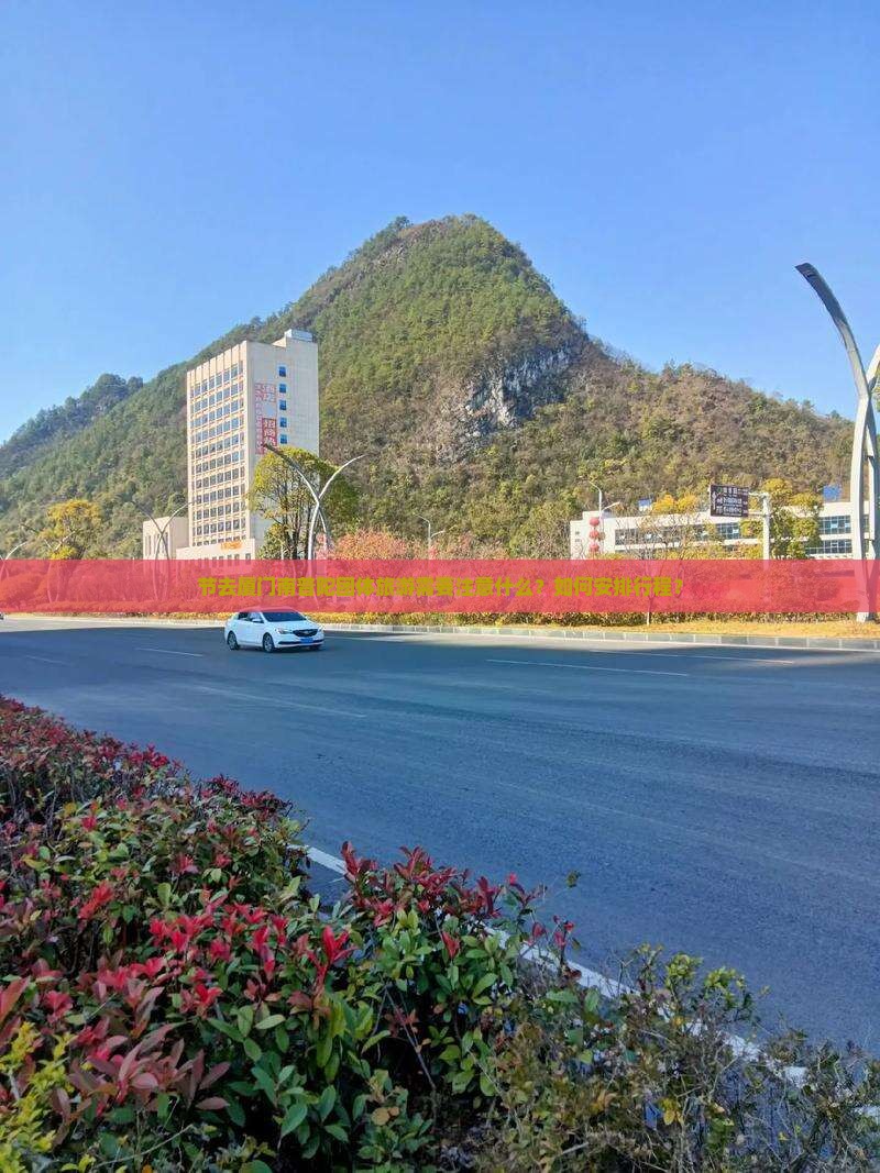 节去厦门南普陀团体旅游需要注意什么？如何安排行程？