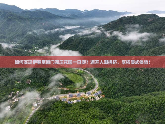 如何实现伊春至厦门菽庄花园一日游？避开人潮拥挤，享柿浸式体验！