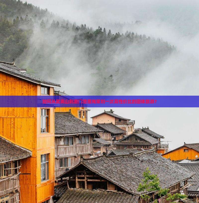 如何从武夷山到厦门曾厝埯策划一次高性价比的团体旅游？