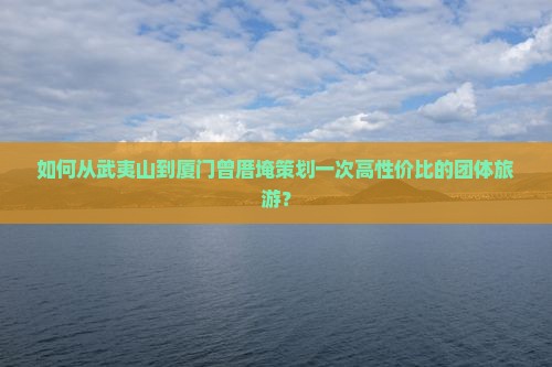 如何从武夷山到厦门曾厝埯策划一次高性价比的团体旅游？