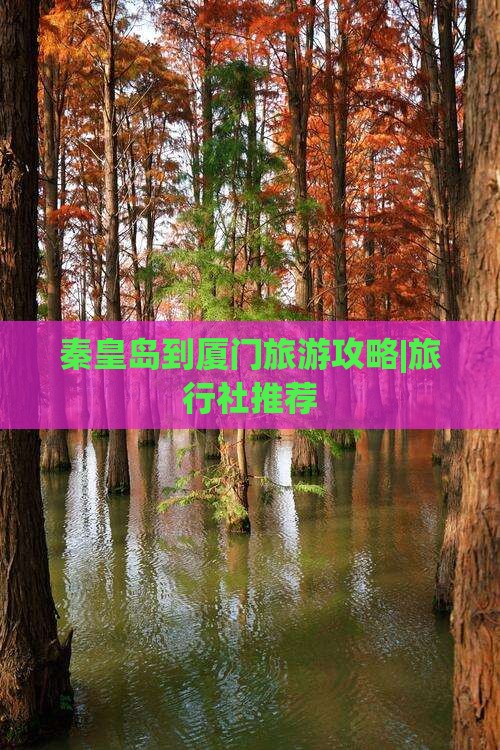 秦皇岛到厦门旅游攻略|旅行社推荐