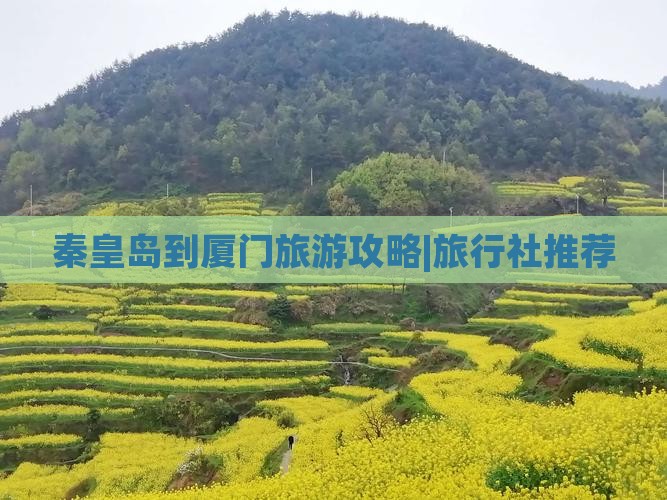 秦皇岛到厦门旅游攻略|旅行社推荐