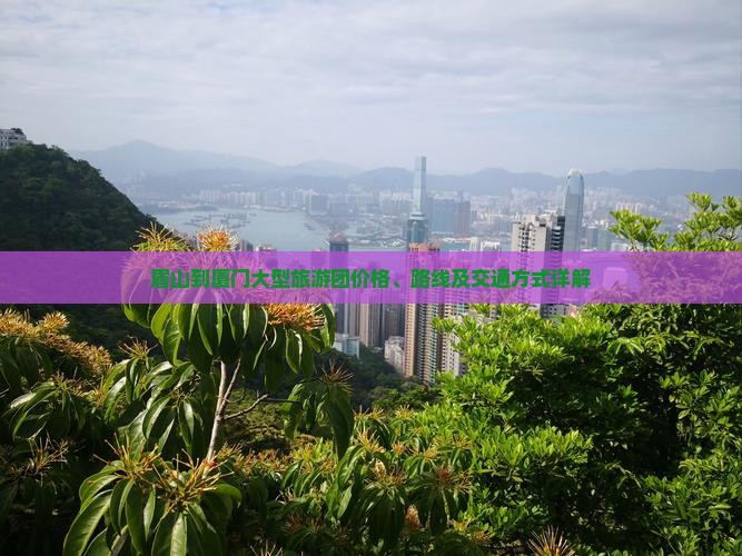眉山到厦门大型旅游团价格、路线及交通方式详解