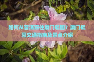 如何从普洱前往厦门毓园？厦门毓园交通指南及景点介绍