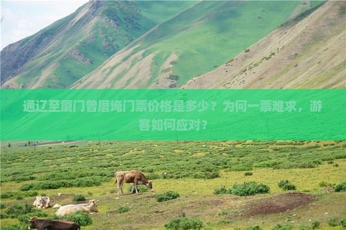 通辽至厦门曾厝埯门票价格是多少？为何一票难求，游客如何应对？
