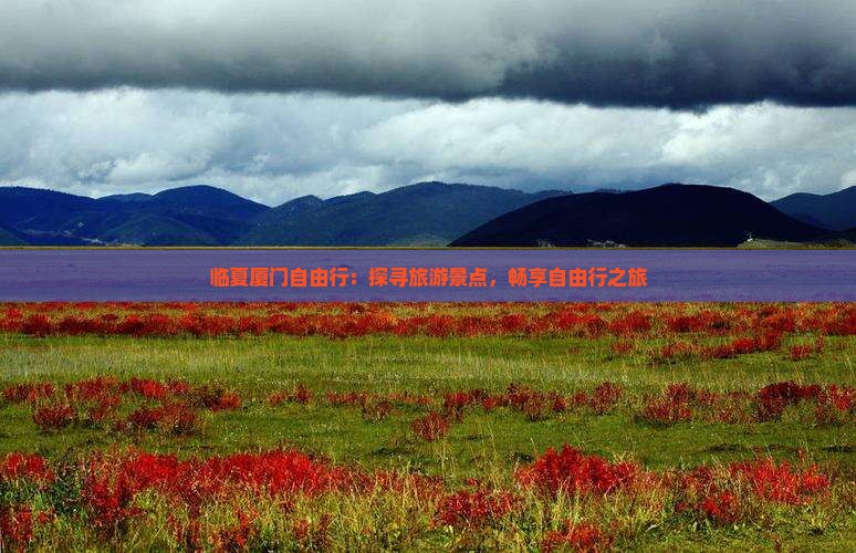 临夏厦门自由行：探寻旅游景点，畅享自由行之旅