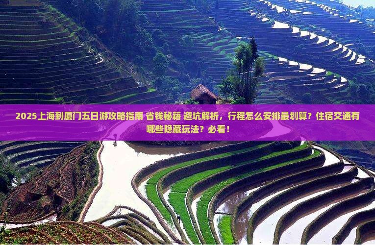 上海到厦门五日游