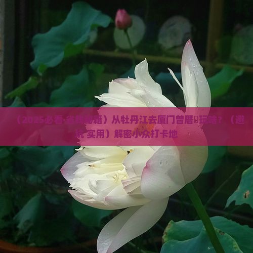 牡丹江到厦门曾厝埯哪里玩